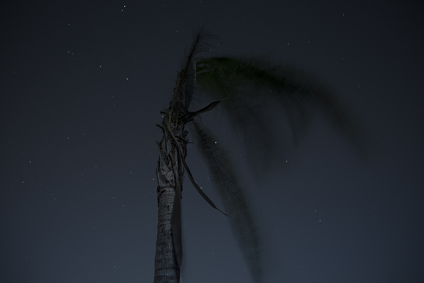 El Paraíso eres tú 